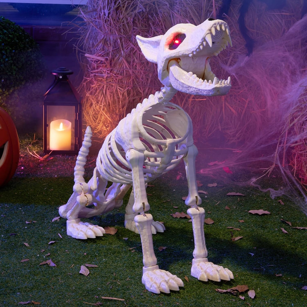 Joyfy 9.8 Inch Halloween Skeleton Dog Skeleton Halloween Decor,Pose-N-Stay Plastic Skeleton Bones with Posable Joints for Hallowmas Decoration Outdoor Haunted House Party