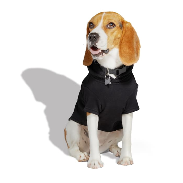 Petco Skeleton Pet Hoodie Large