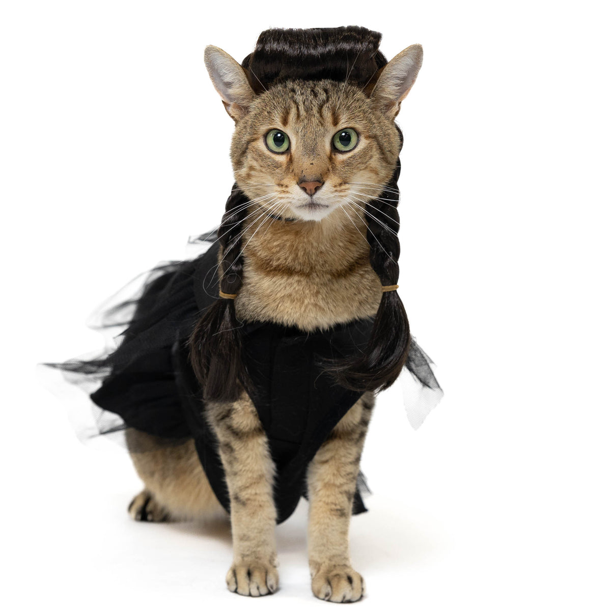 Vibrant Life Halloween Gothic Girl Costume for Dogs, Black, Large