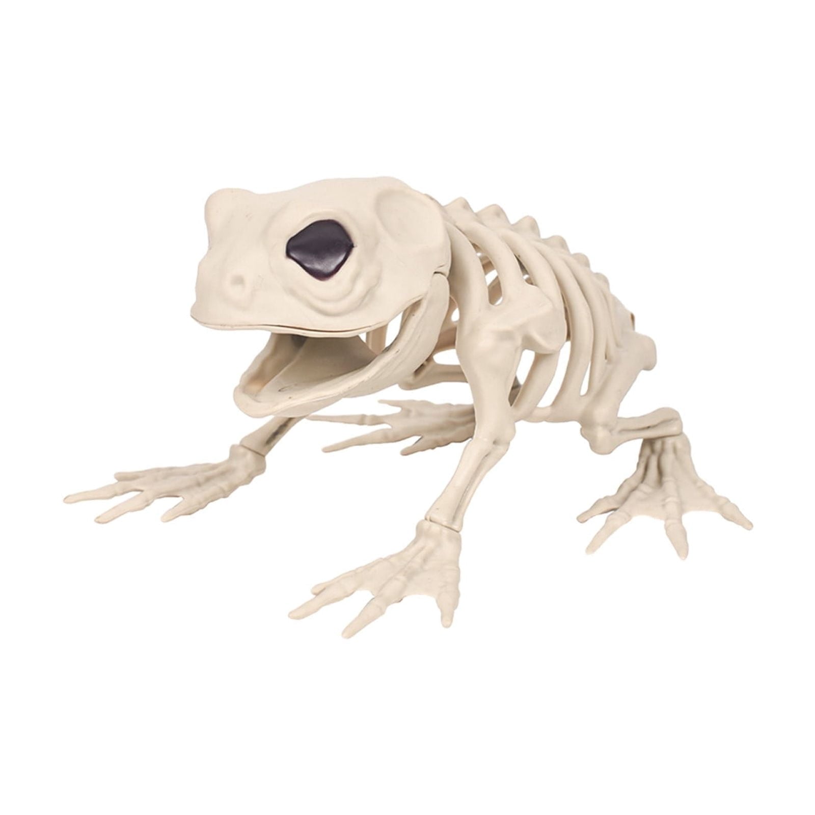 amlbb Halloween Decoration Halloween Skeleton Horror Decorations Simulation Animals Skeleton Ornaments Bar Decoration Frogs Skeleton on Clearance