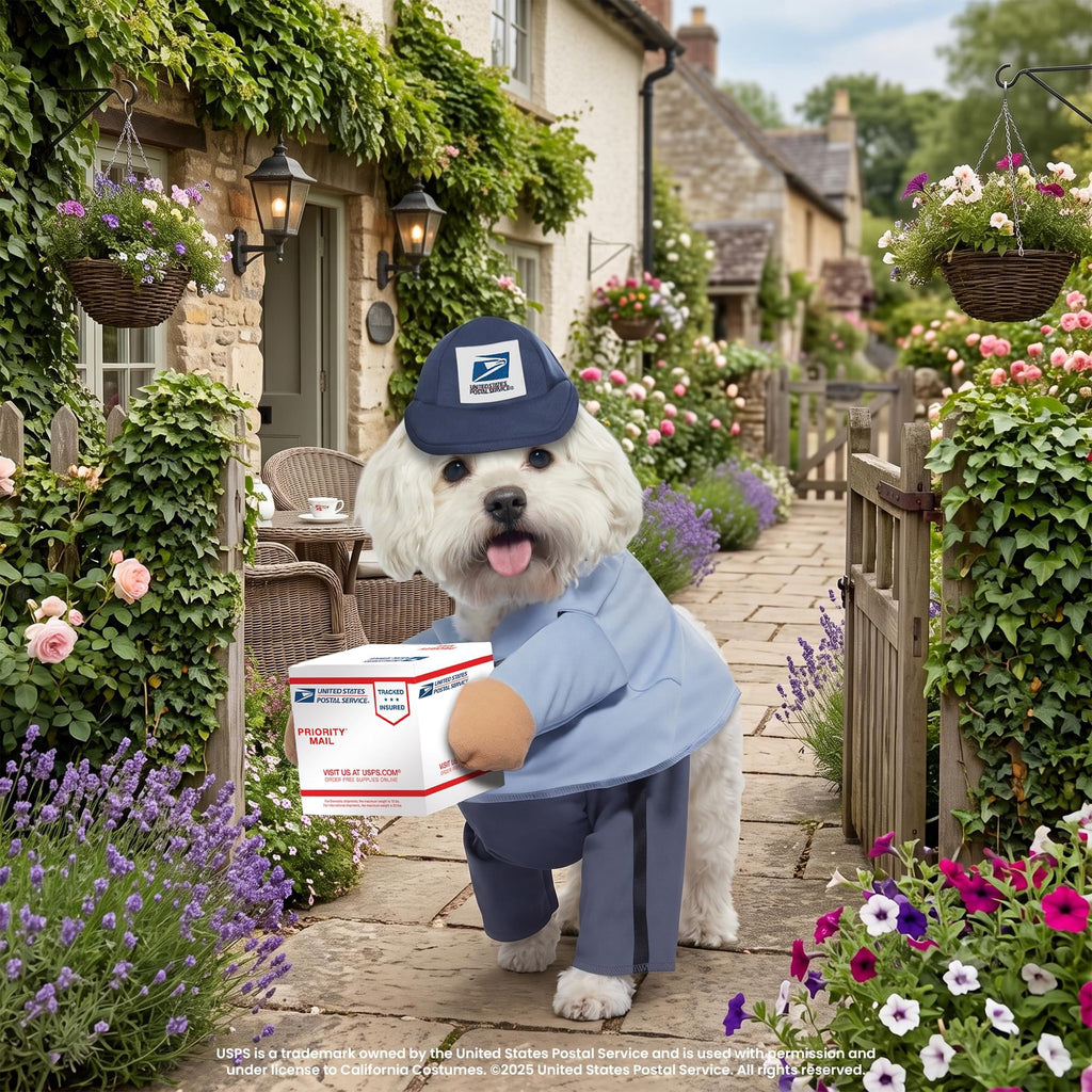 California Costumes US Mail Carrier Pup Dog Costume | Large Unisex