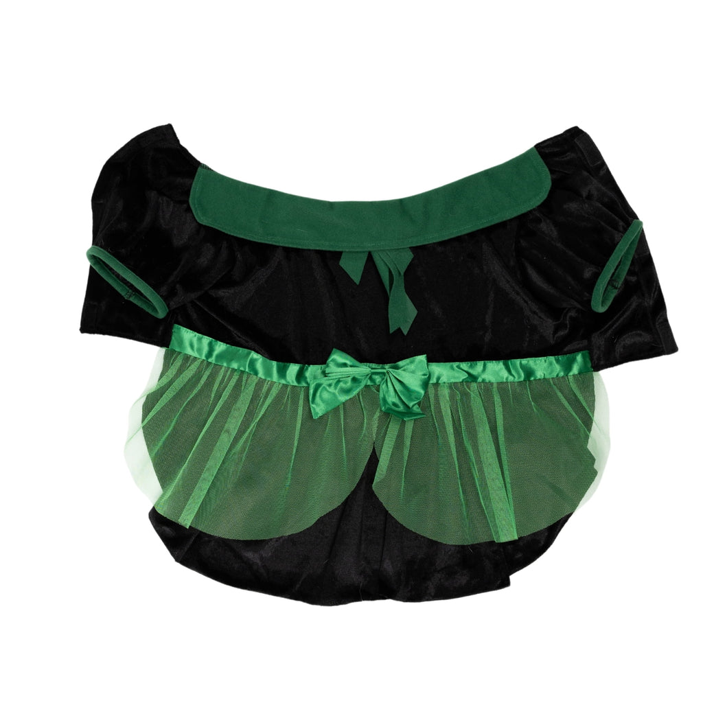 Vibrant Life Halloween Bad Witch Costume for Dogs, Green and Black, Extra Large