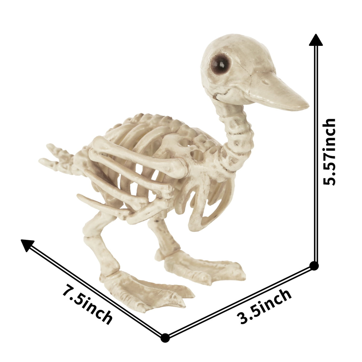 Seasons Skeleton Baby Duck Halloween Decoration for Crazy Bonez Skeleton Line