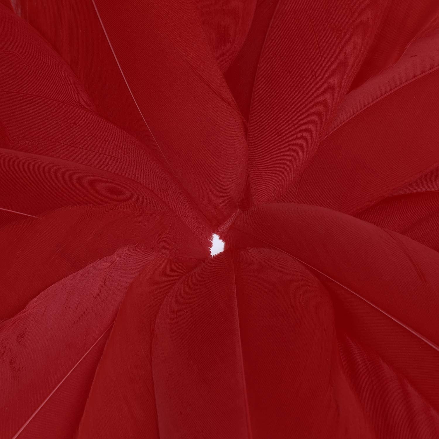600PCS Red Feathers, 3-4.7 inch Feathers Bulk for DIY Crafts Wedding Halloween Costume Party Decorations Dream Catcher Supplies