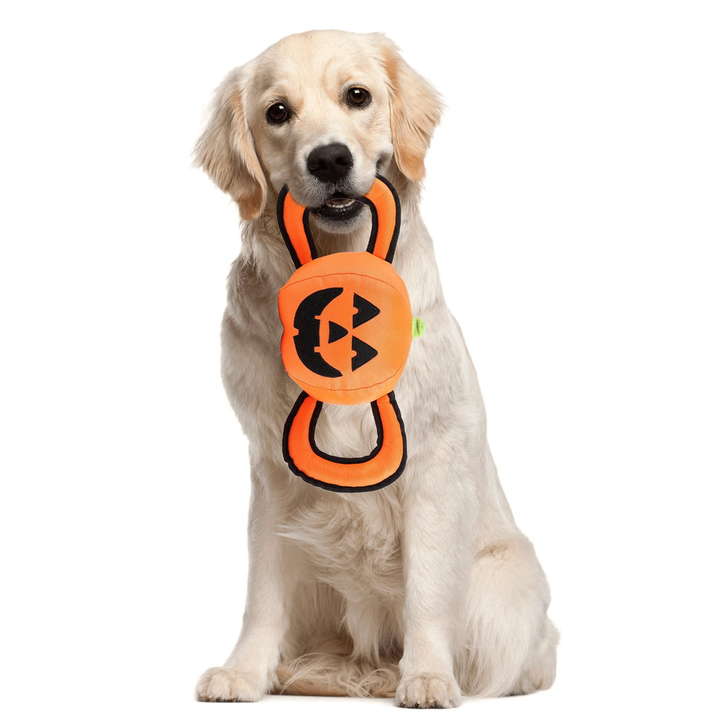 All For Paws Halloween 4-Pack Dog Toy Set - Gift Box Includes Dog Lick Mat, Puppy Squeaky Firehose Toy, Latex Dog Chew Toy & Dog Treat Dispenser