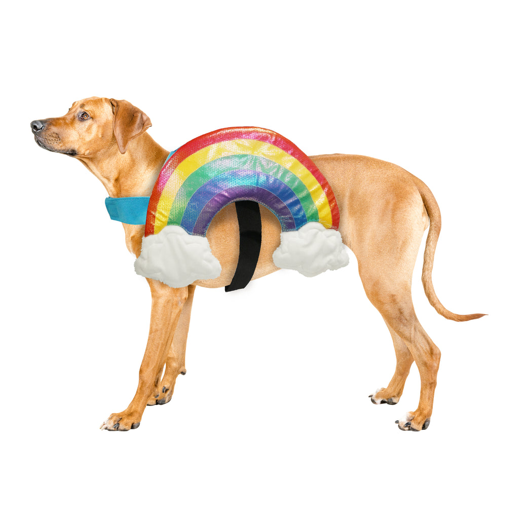 Best Furry Friends Costume for Dogs or Cats, Rainbow, X-Small