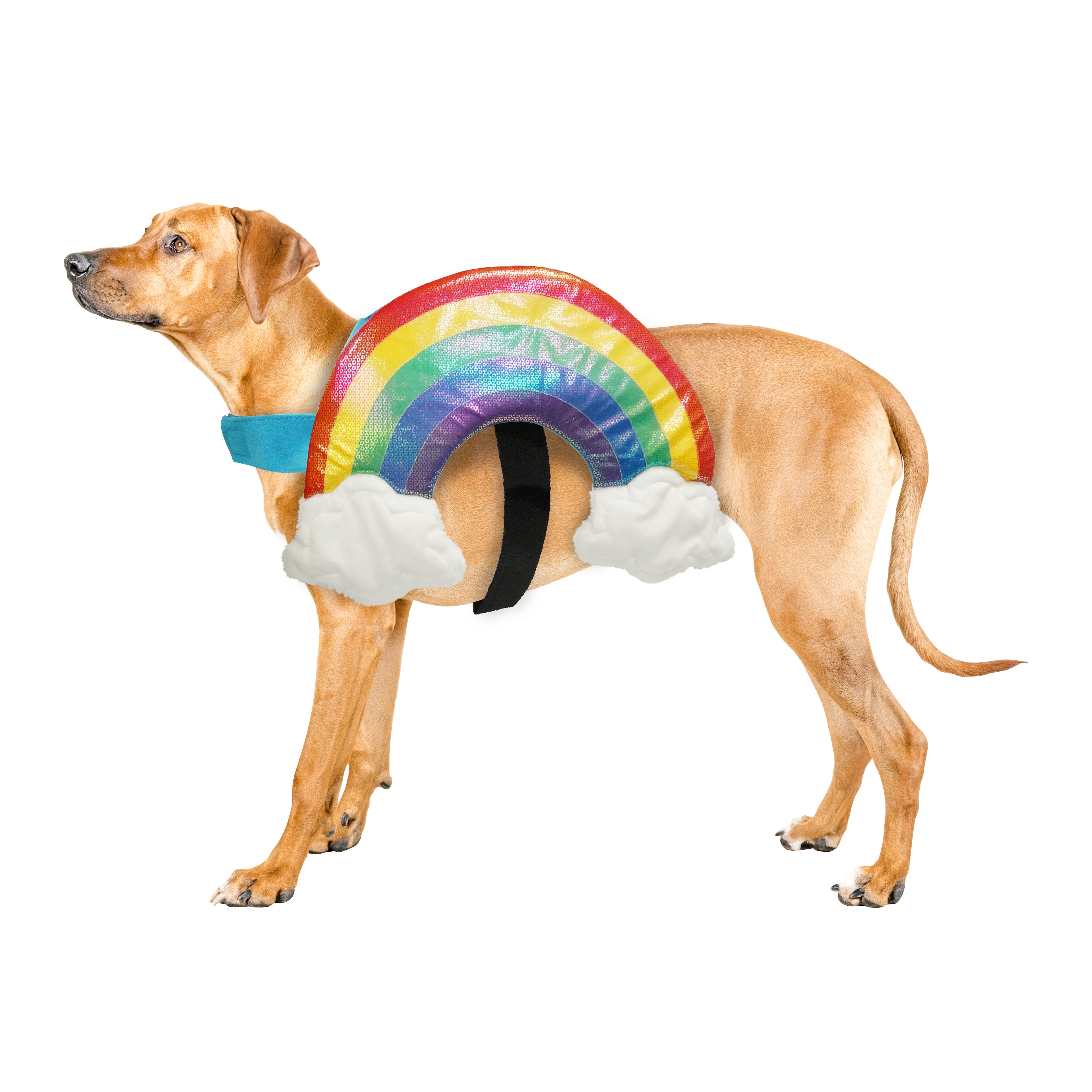 Best Furry Friends Costume for Dogs or Cats, Rainbow, X-Small