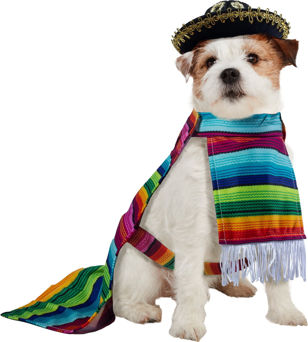 Rubies Pet Shop Boutique Pet Halloween Costume Accessory Serape For Dog or Cat