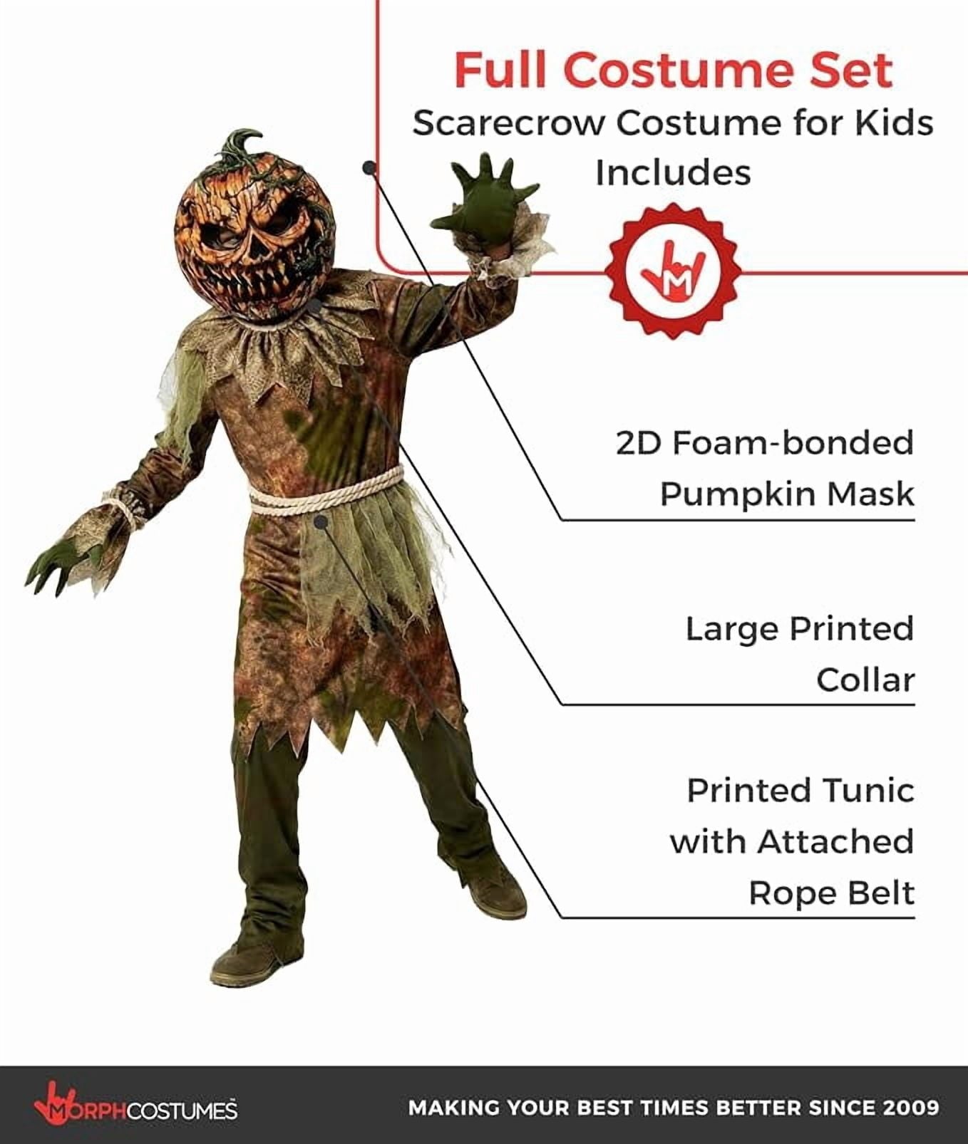 Morph Scarecrow Pumpkin Boys Halloween Costume for Boy Brown Large