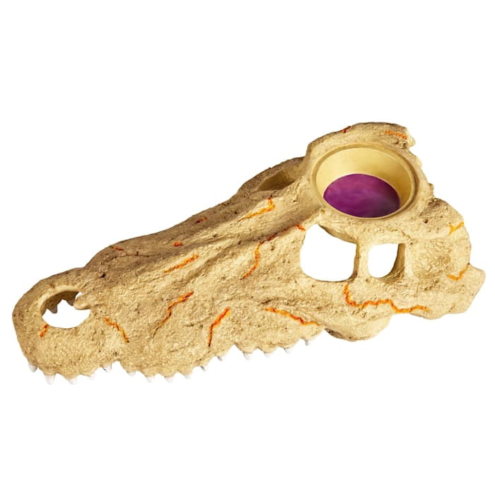 Zilla Rapid Sense Decor Crocodile Skull