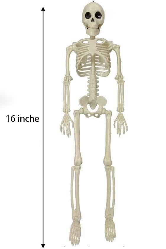 2PCS Halloween Skeleton Decoration Posable Skeletons Realistic Joint Design ,Indoor Outdoor Haunted House Props,16inches/40cm