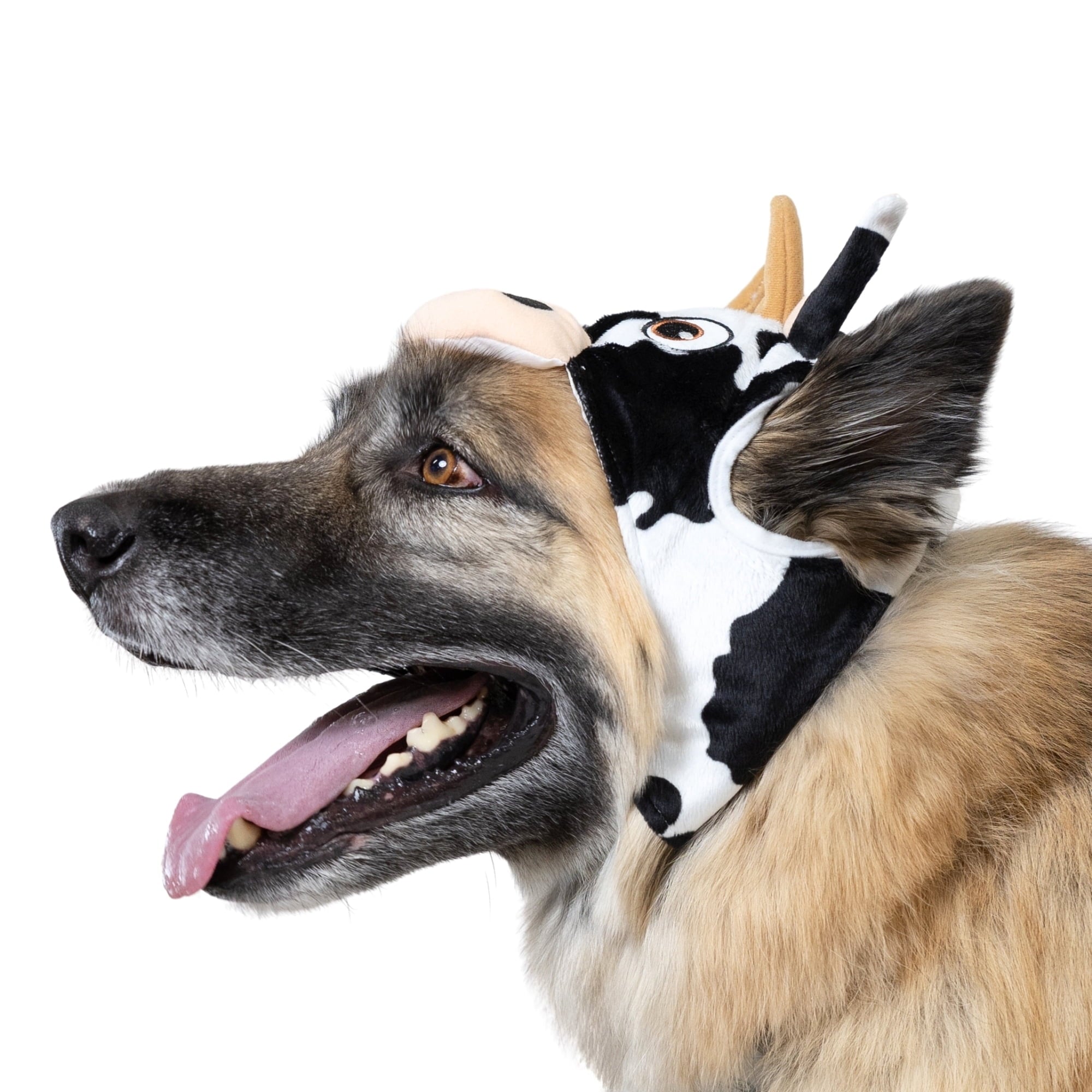 Vibrant Life Halloween Costume for Dogs & Cats, Cow, Black & White, Extra Small