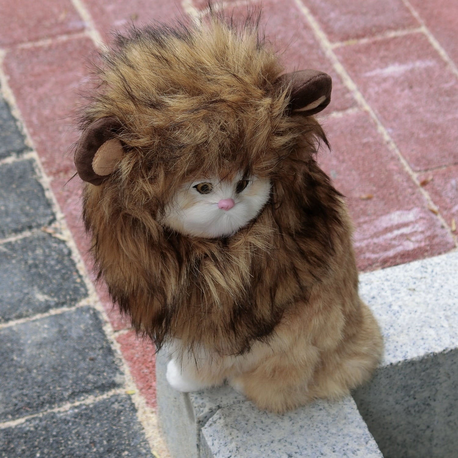 Lion Mane Wig for Cats, Funny Pet Cat Costumes for Halloween Christmas (Size S, Black)