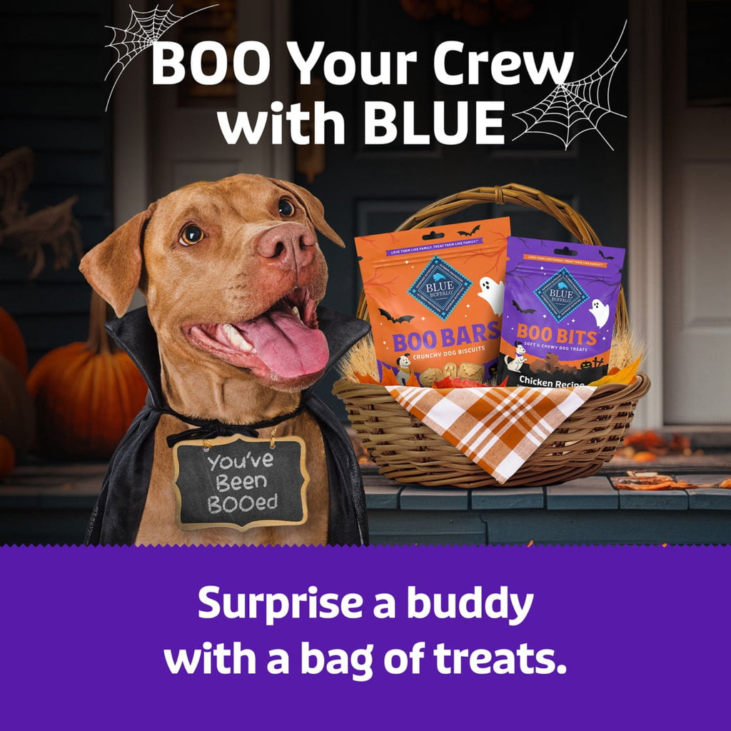 Blue Buffalo Boo Bars Crunchy Halloween Dog Biscuits Pumpkin & Cinnamon Recipe 11-oz Bag