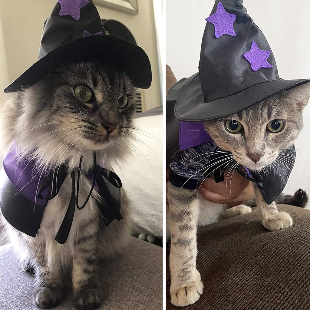 WILLED Halloween Pet Costumes, Cat Wizard Costume, Dog Witch Cloak & Hat, Purple Witch Cloak for Cats, Dogs, Kittens, Puppies, Rabbits, Perfect for Halloween, Parties, Cosplay, and Daily Wear