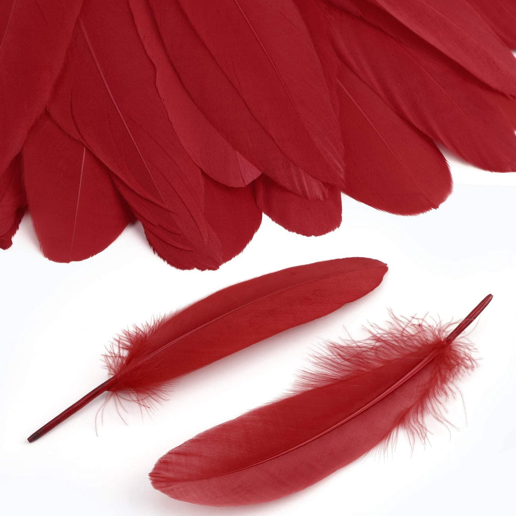 600PCS Red Feathers, 3-4.7 inch Feathers Bulk for DIY Crafts Wedding Halloween Costume Party Decorations Dream Catcher Supplies