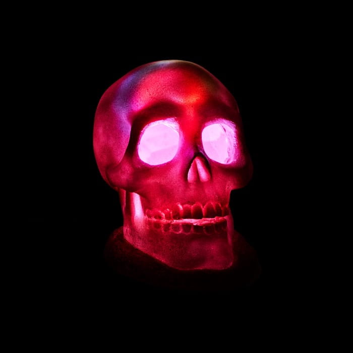 Petco Halloween LED Light-Up Skull Aquarium Decor White Large