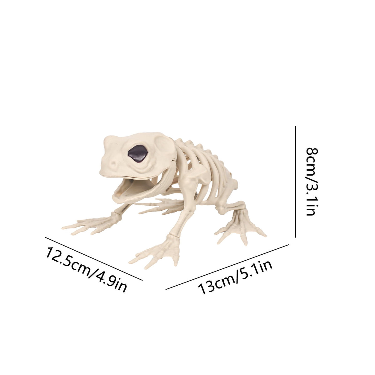 Cififendec Mini Frog Halloween Animal Skeletons Standing Full Body Animal Skeleton Decorations for Indoor Outdoor Room Party Props