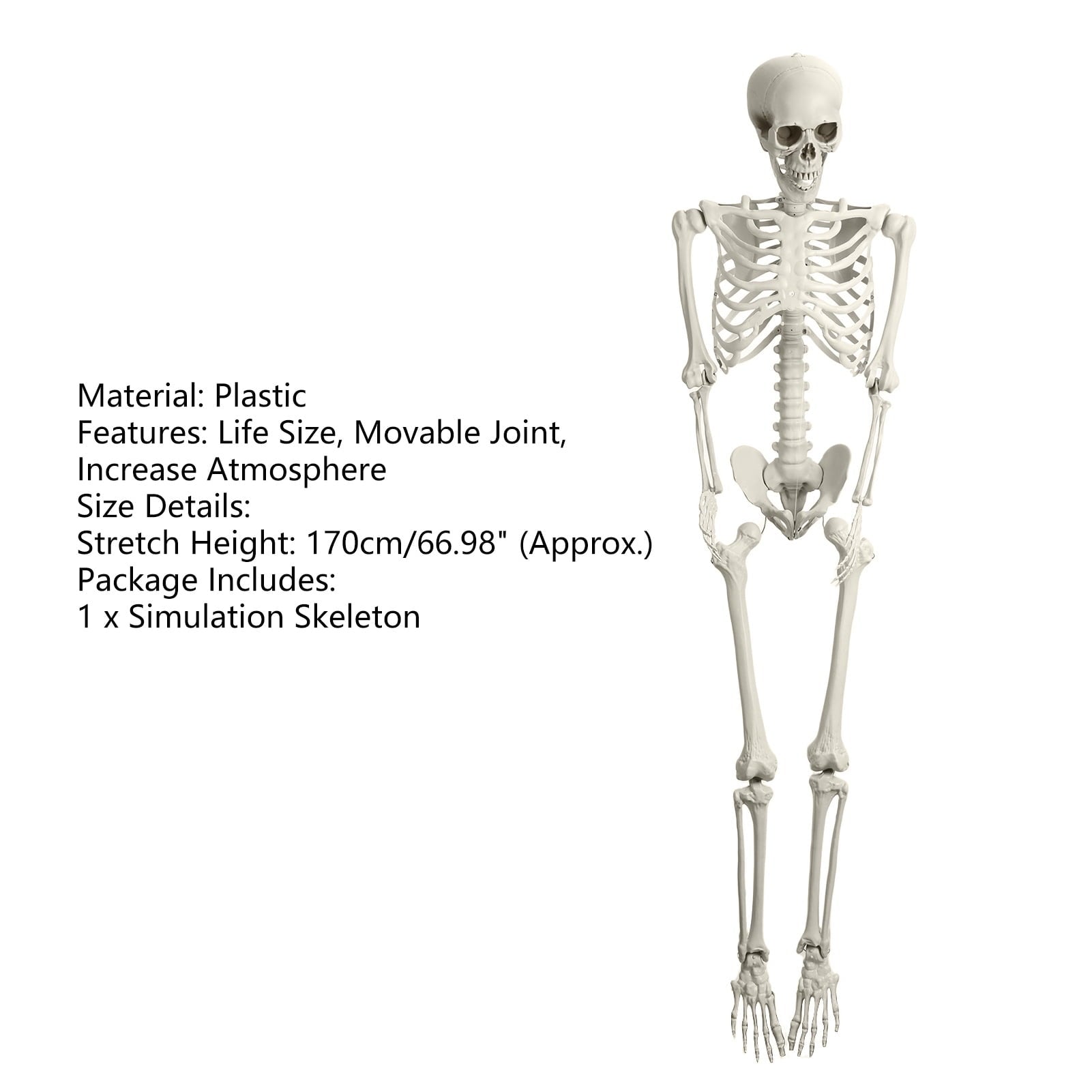 Kitem Skeleton Prop 5.4ft Poseable Life Size Halloween Decoration Plastic Full Body Human Bones Skeleton Party Supplies 1pc