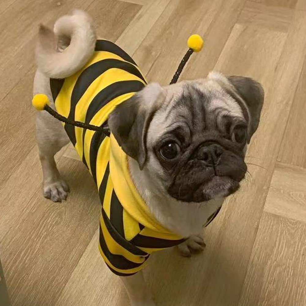 WILLED Pet Bee Halloween Costume, Dog Hoodies for Cats and Small Dogs, Holiday Cosplay Warm Clothes, Cute Puppy Christmas Outfits