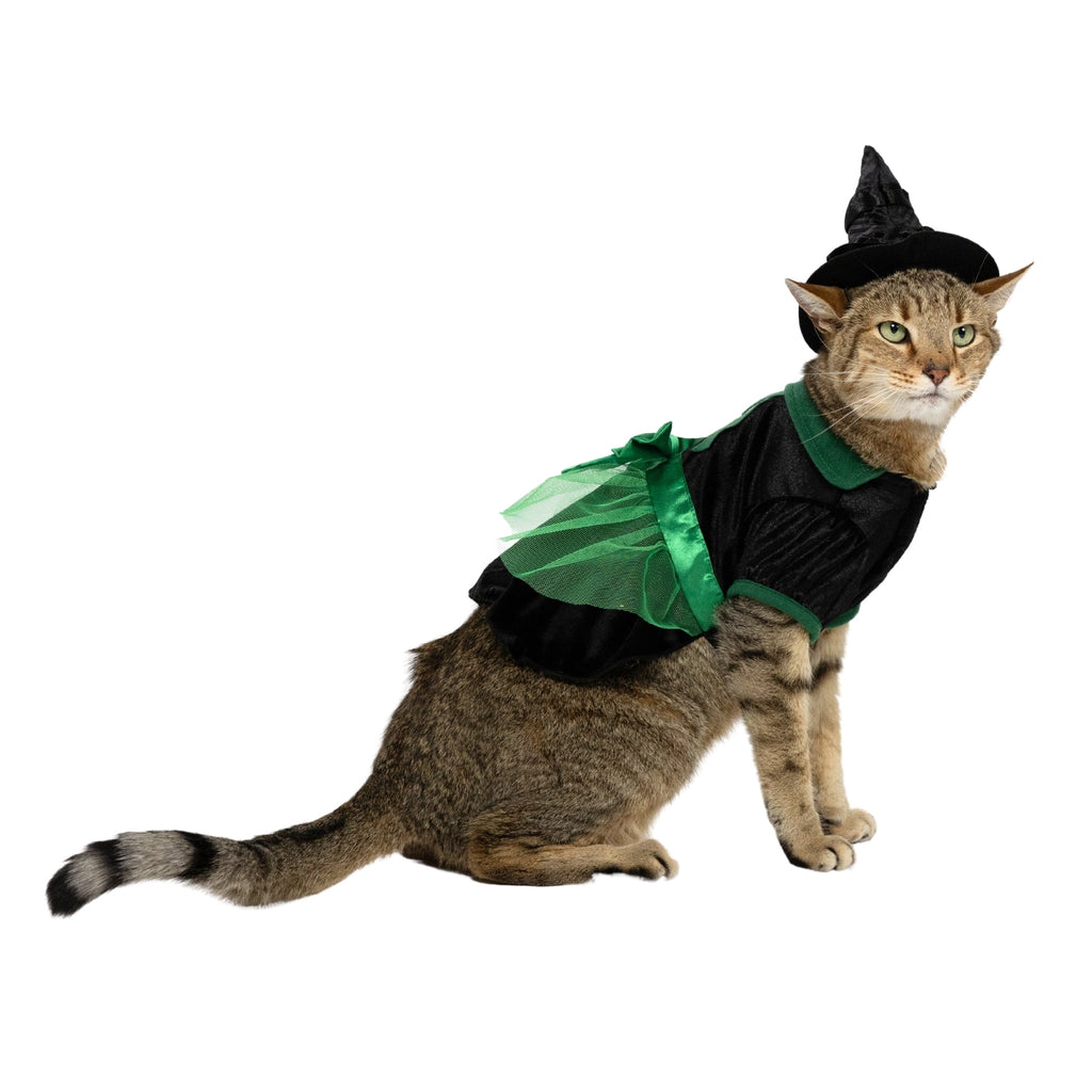 Vibrant Life Halloween Bad Witch Costume for Dogs, Green and Black, Extra Large