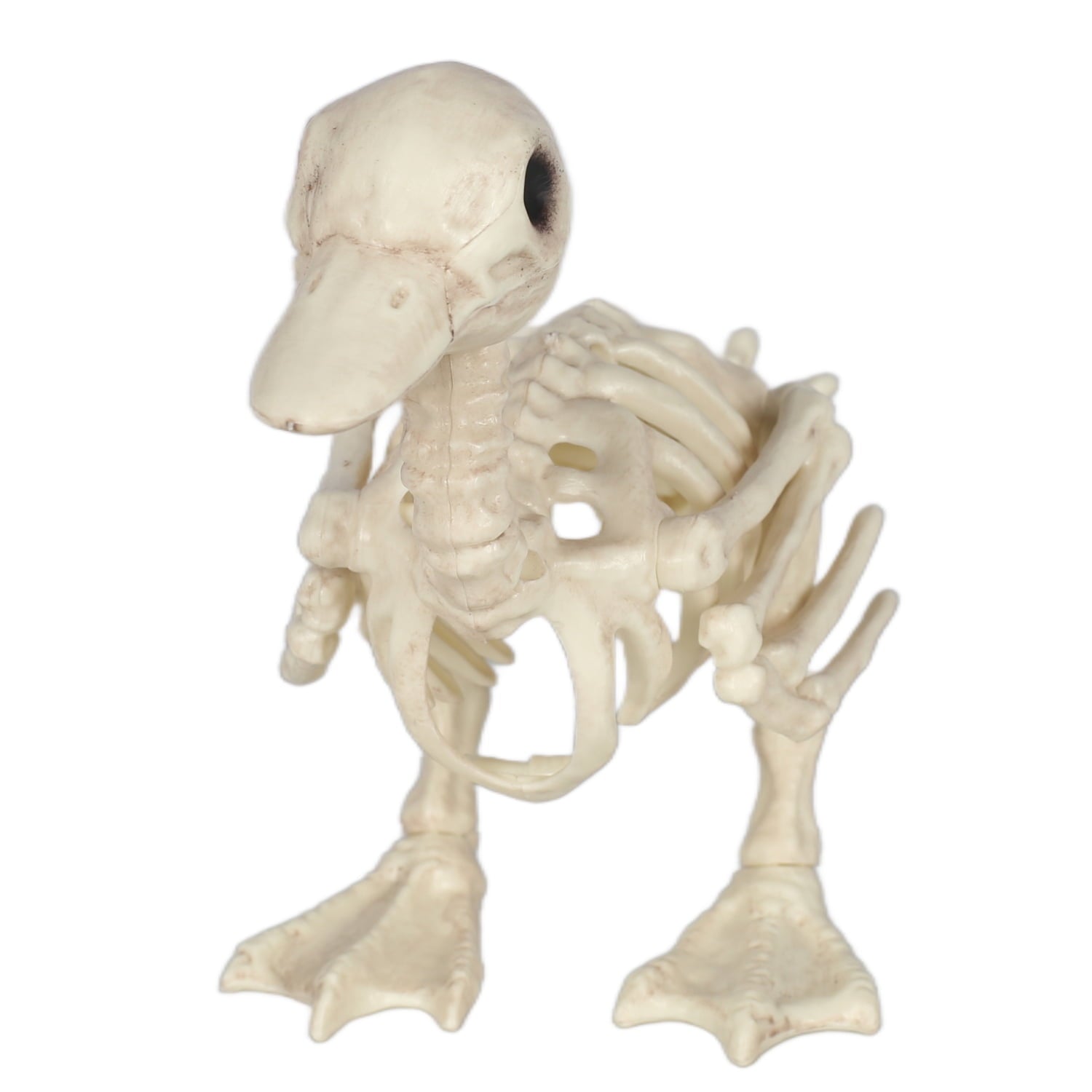Seasons Skeleton Baby Duck Halloween Decoration for Crazy Bonez Skeleton Line