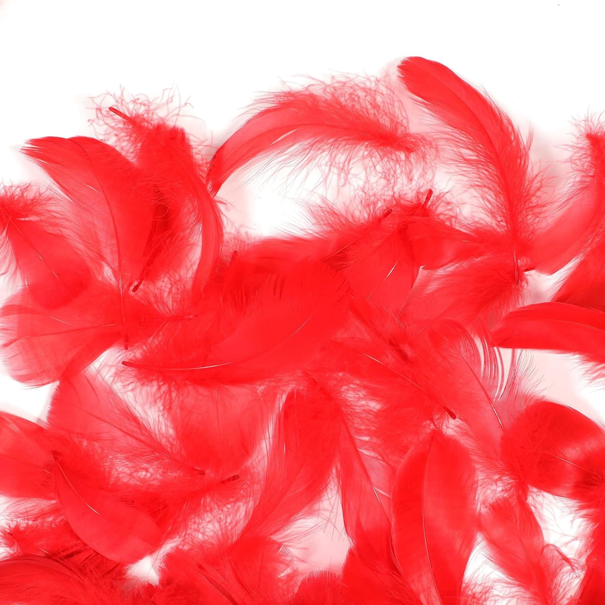 600PCS Red Feathers, 3-4.7 inch Feathers Bulk for DIY Crafts Wedding Halloween Costume Party Decorations Dream Catcher Supplies