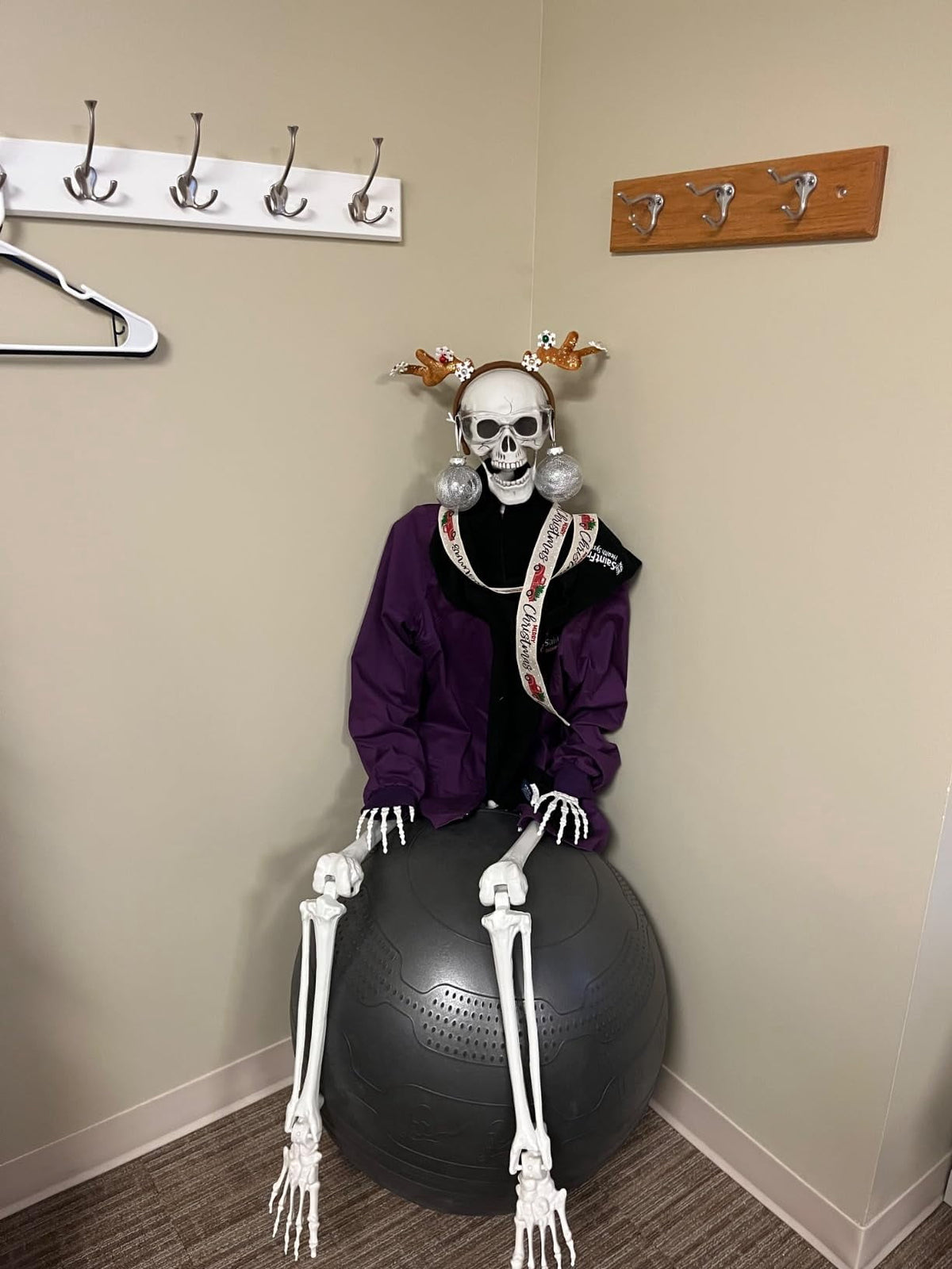 AGCAN 4 Packs Posable Halloween Hanging Skeleton Decoration, 16 Inch Halloween Decorations with Movable Joints for Graveyard Haunted House Props Decor Indoor Outdoor