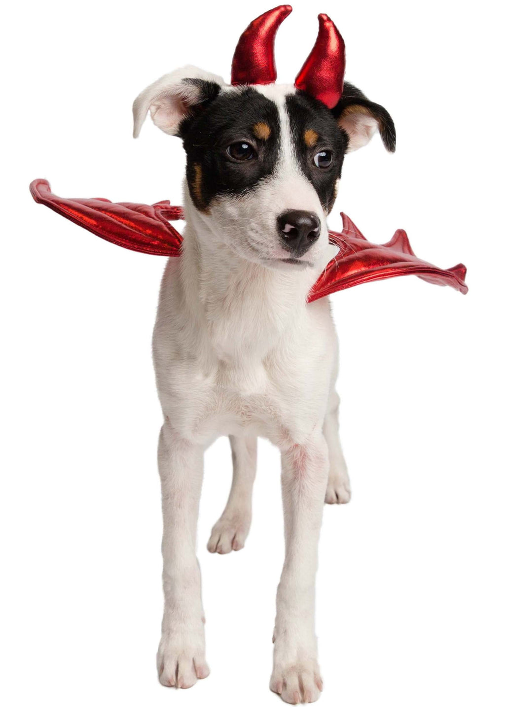 Pet Krewe Devil Dog Costume - Halloween Costumes for Dogs - Attaches to Any Pet Harness, One Size Fits All Pets