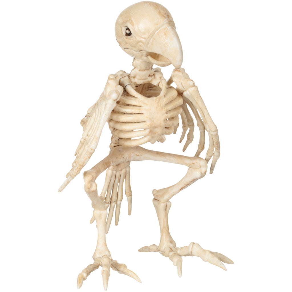 Official Crazybonez Faux Parrot Skeleton