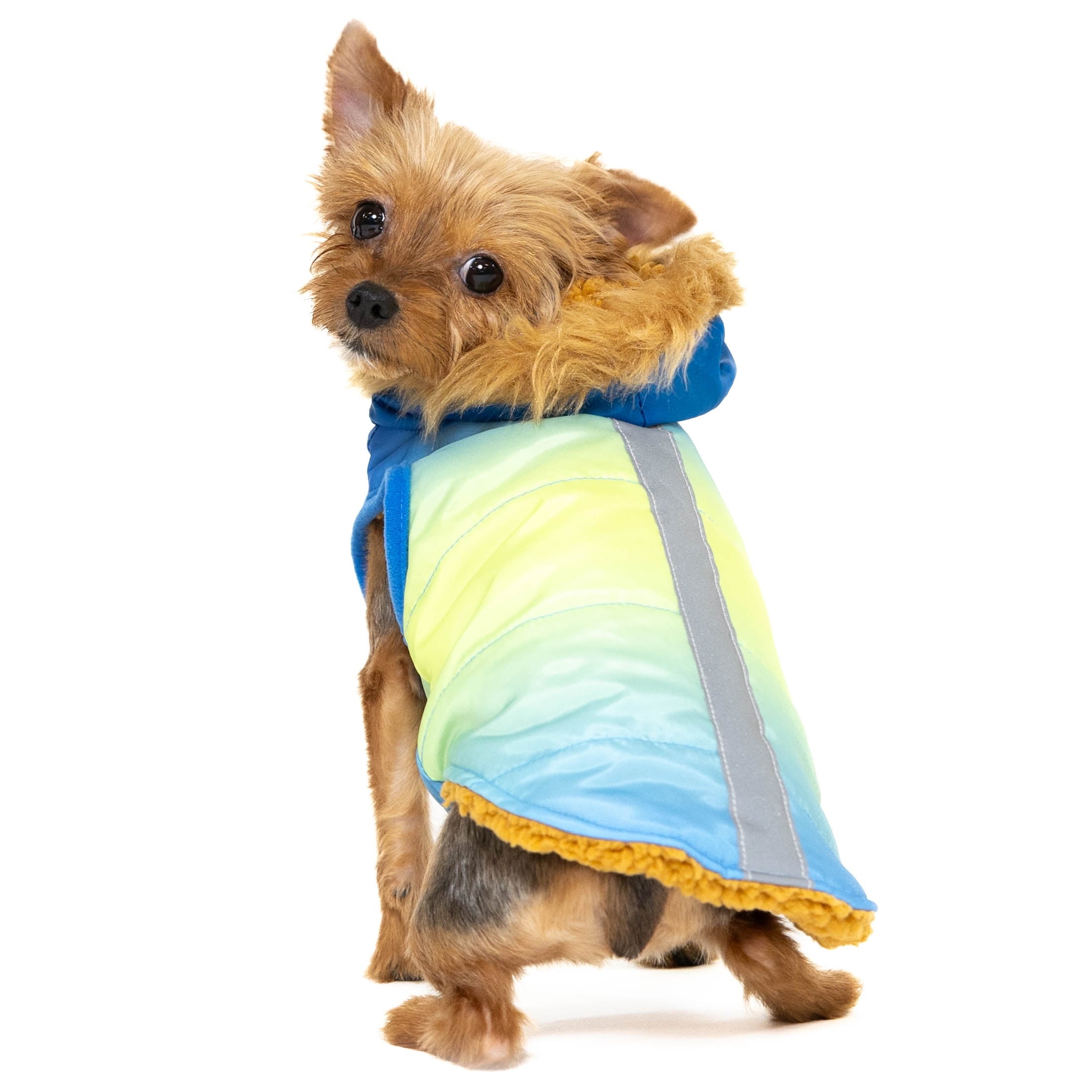 Vibrant Life Pet Hooded Jacket, Blue Ombre, S