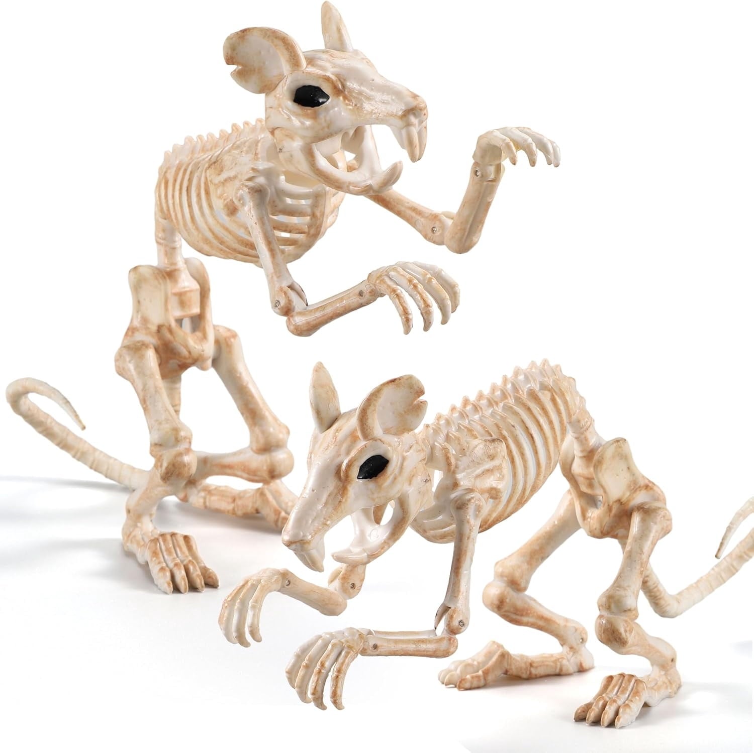 Joyfy 2 Pcs Duck Skeleton Halloween Decoration,4.5 Inch Posable Plastic Animals Halloween Skeleton for Indoor Outdoor Halloween Decorations,Haunted House Party Props