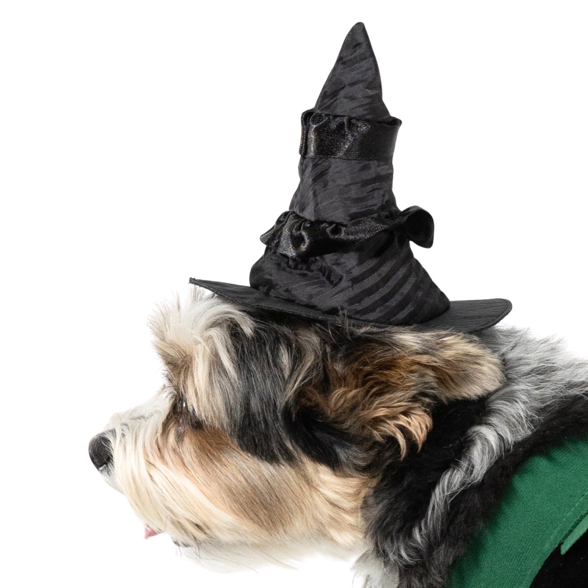 Vibrant Life Halloween Bad Witch Costume for Dogs, Green and Black, Extra Large