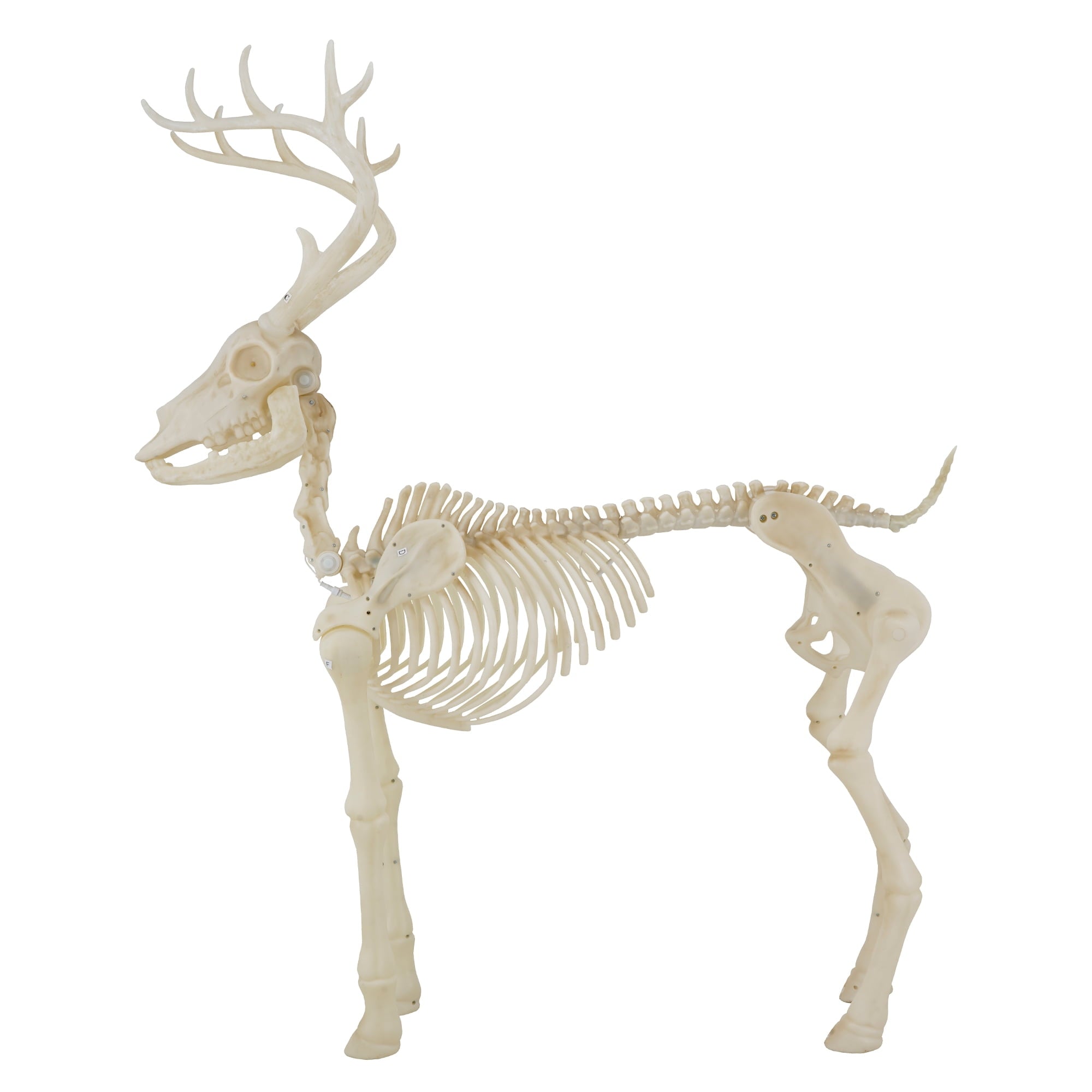 LED Illuminated Deer Skeleton, 60-inch, Halloween Decoration, by Way to Celebrate