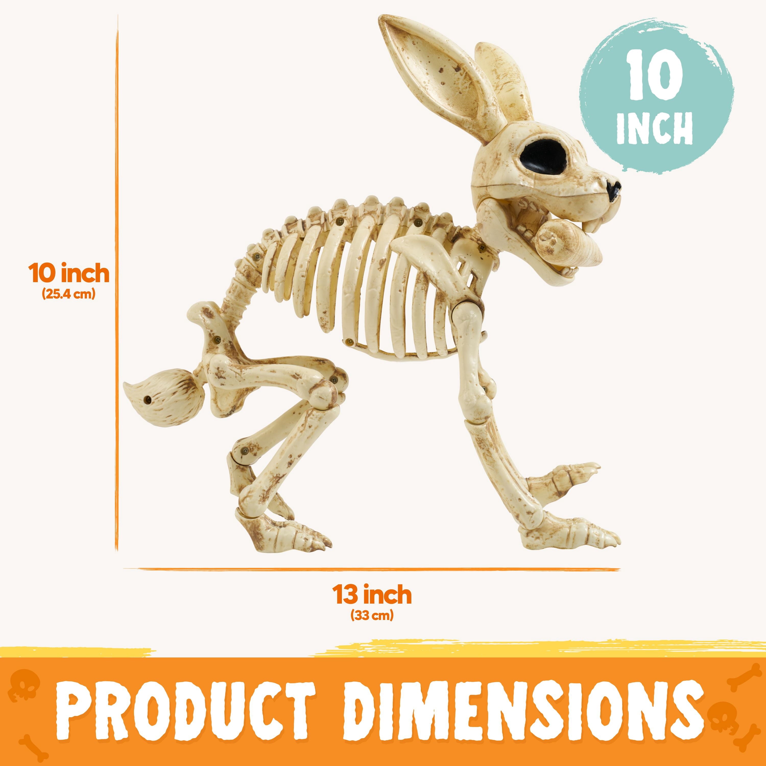 Joyfy 2 Pcs Duck Skeleton Halloween Decoration,4.5 Inch Posable Plastic Animals Halloween Skeleton for Indoor Outdoor Halloween Decorations,Haunted House Party Props