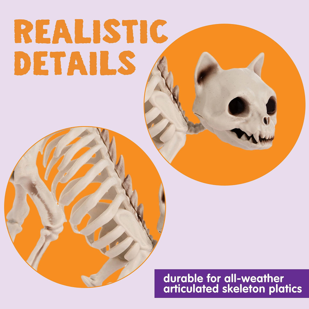 Joyfy 2 Pcs Cat Skeleton Halloween Decoration,7 Inch Posable Plastic Animals Halloween Skeleton for Indoor Outdoor Halloween Decorations,Haunted House Party Props