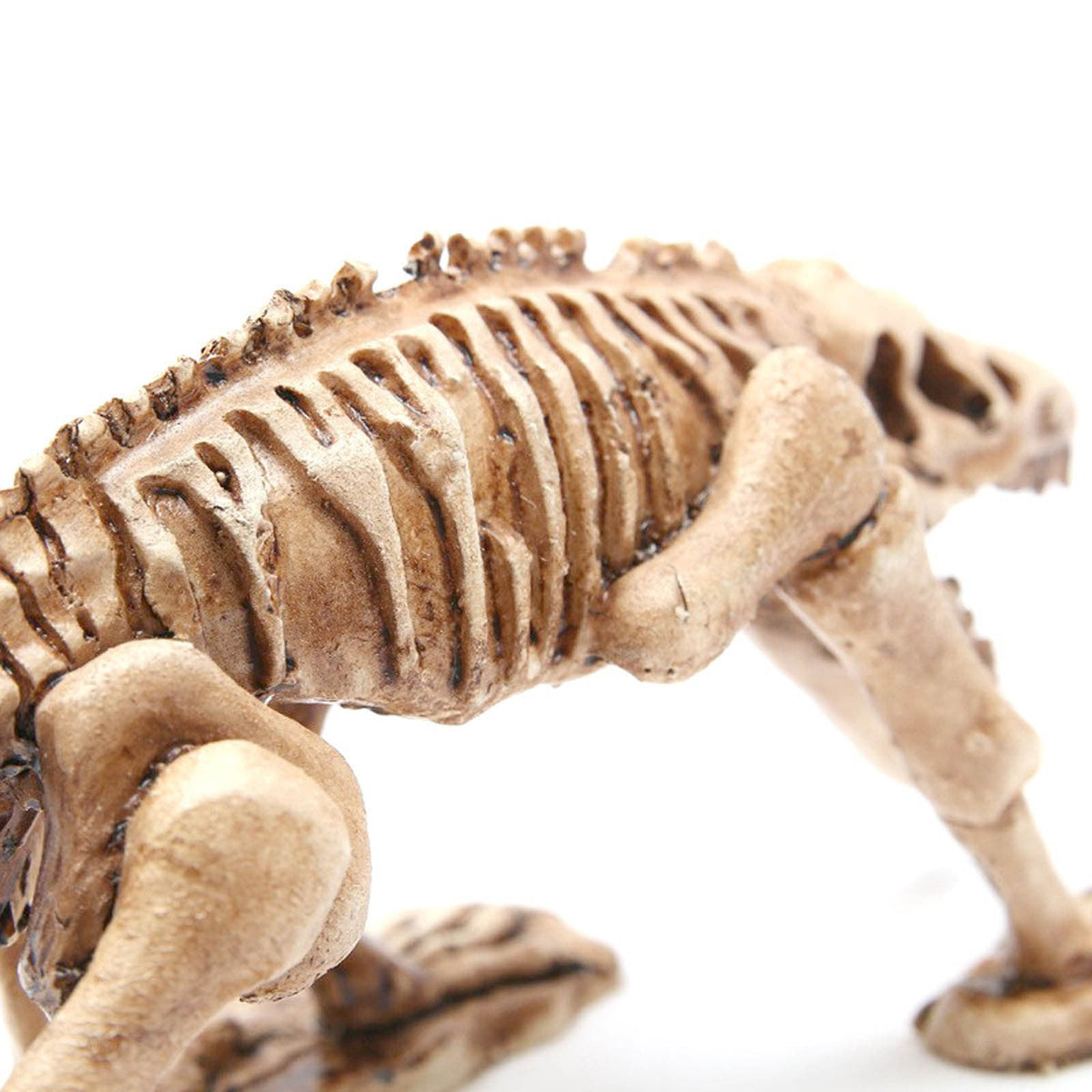 amlbb Halloween Decoration Halloween Skeleton Horror Decorations Simulation Animals Skeleton Ornaments Bar Decoration Frogs Skeleton on Clearance