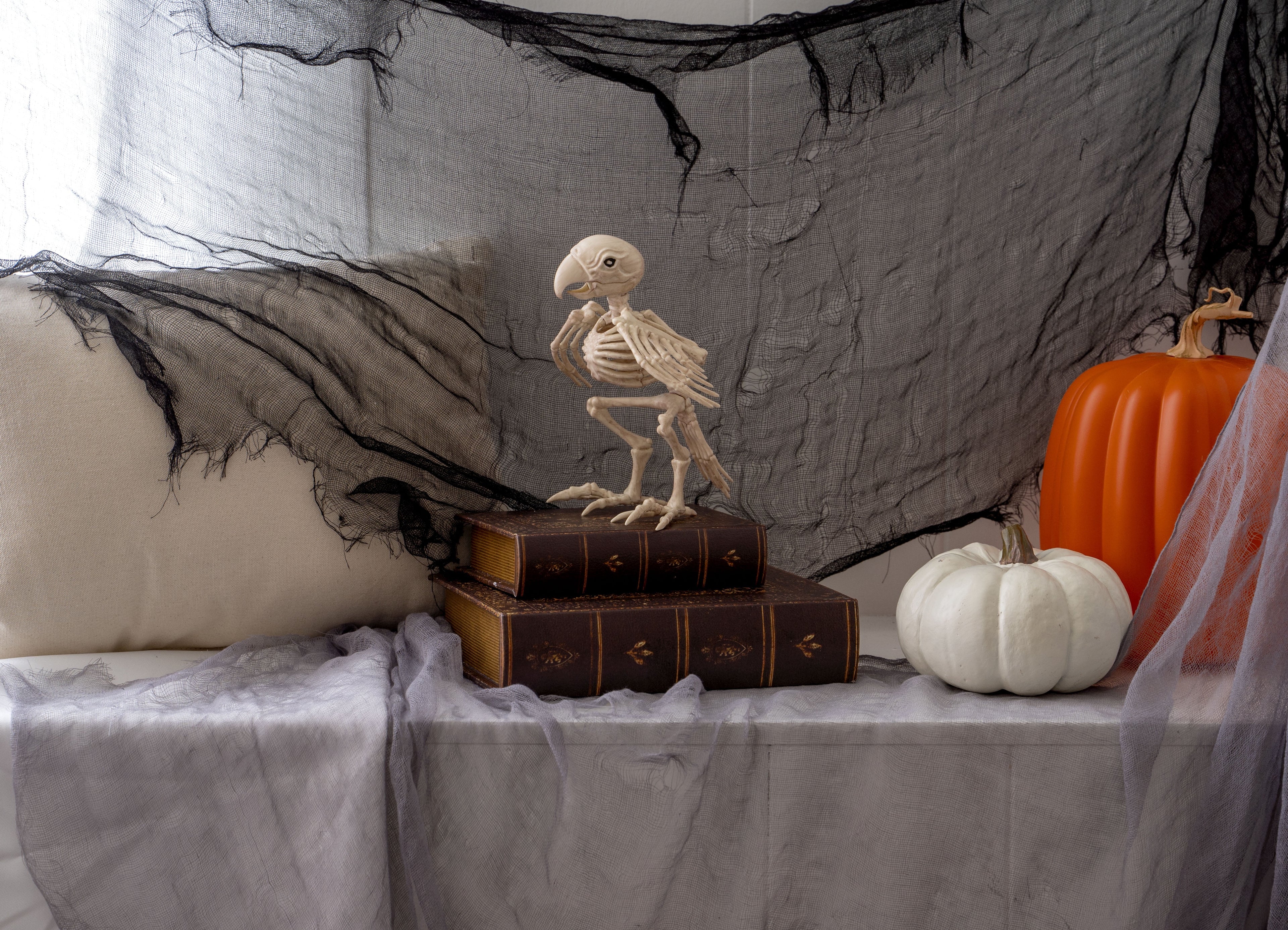 Official Crazybonez Faux Parrot Skeleton