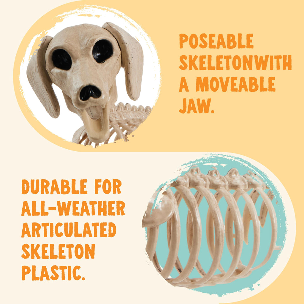 Joyfy 9.8 Inch Halloween Skeleton Dog Skeleton Halloween Decor,Pose-N-Stay Plastic Skeleton Bones with Posable Joints for Hallowmas Decoration Outdoor Haunted House Party
