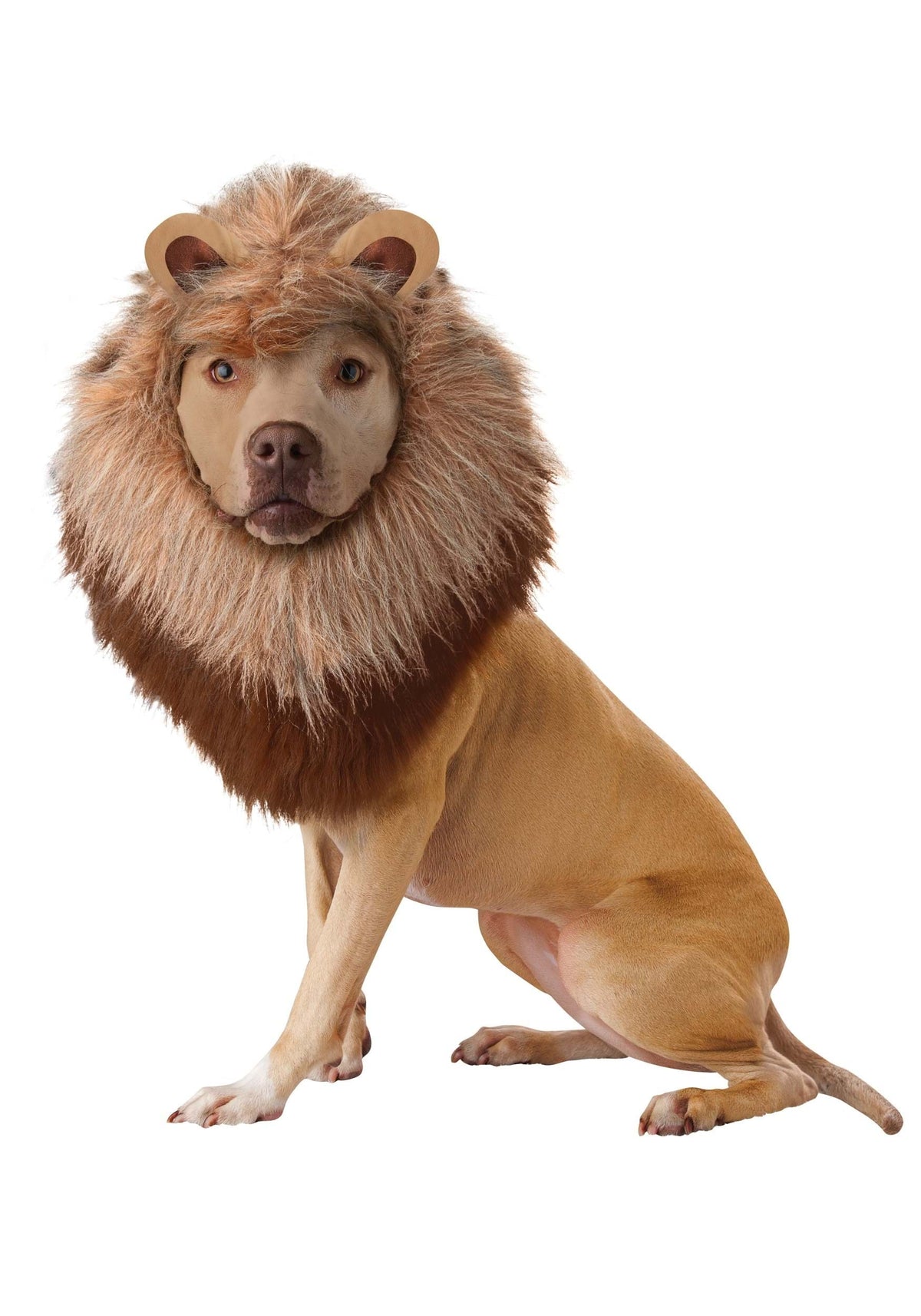 Lion Dog Costume, Pet Zoo Animal Outfit