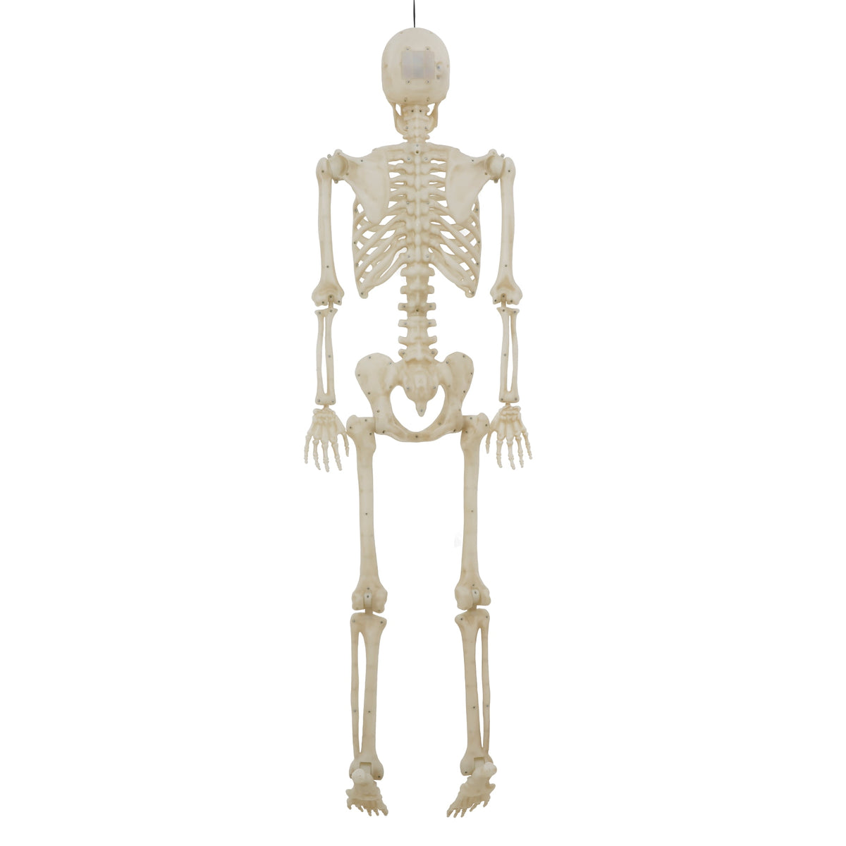 Way To Celebrate 5 ft Poseable LED Illuminated Skeleton Halloween Decoration