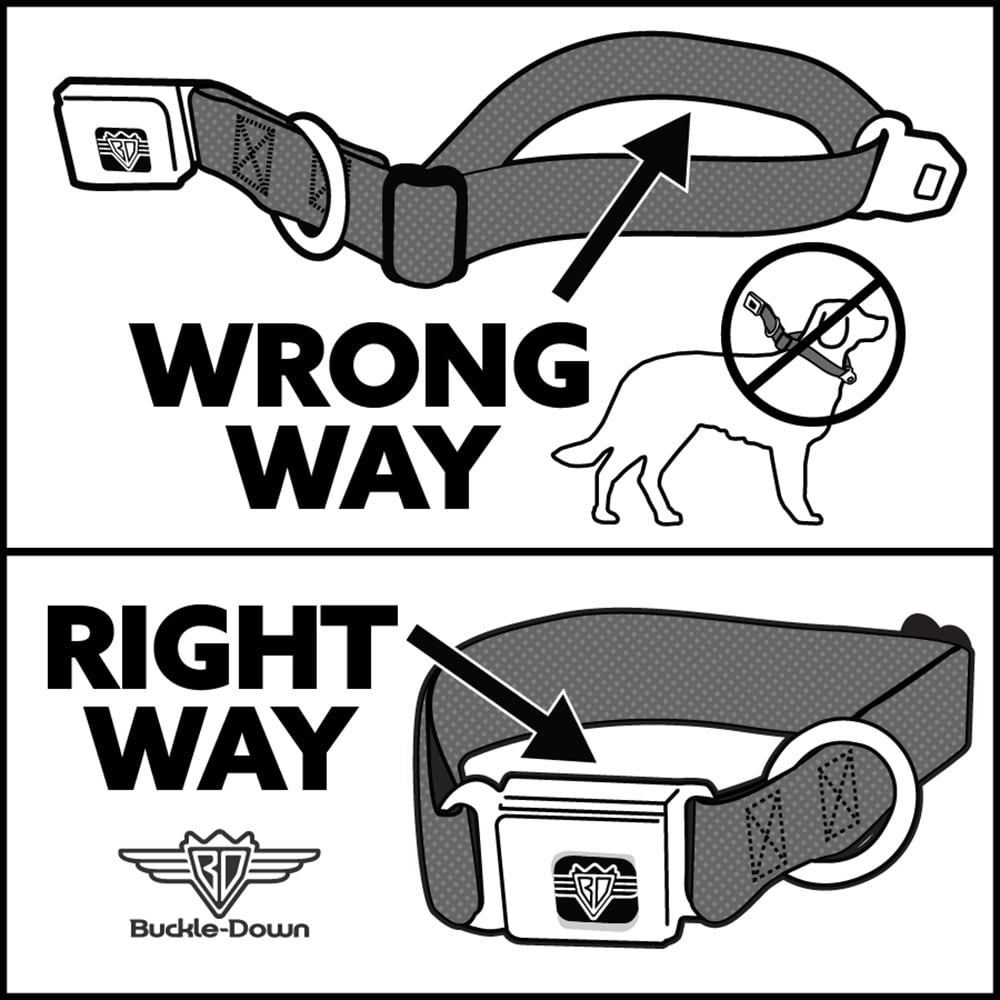 Disney Pet Collar, Dog Collar Metal Seatbelt Buckle, Jack Expressions Ghosts In Cemetery Purples Grays White, 11 to 16.5 Inches 1.0 Inch Wide