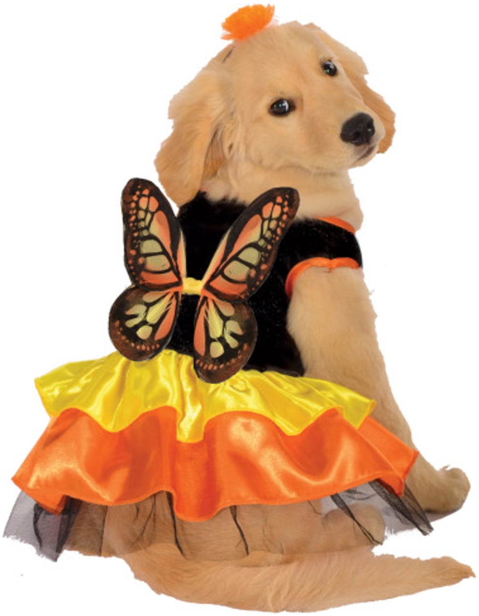 Rubies Monarch Butterfly Pet Costume for Dogs or Cats, Small