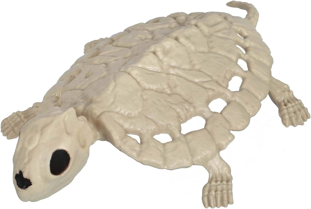 Skeleton Turtle Halloween Decoration