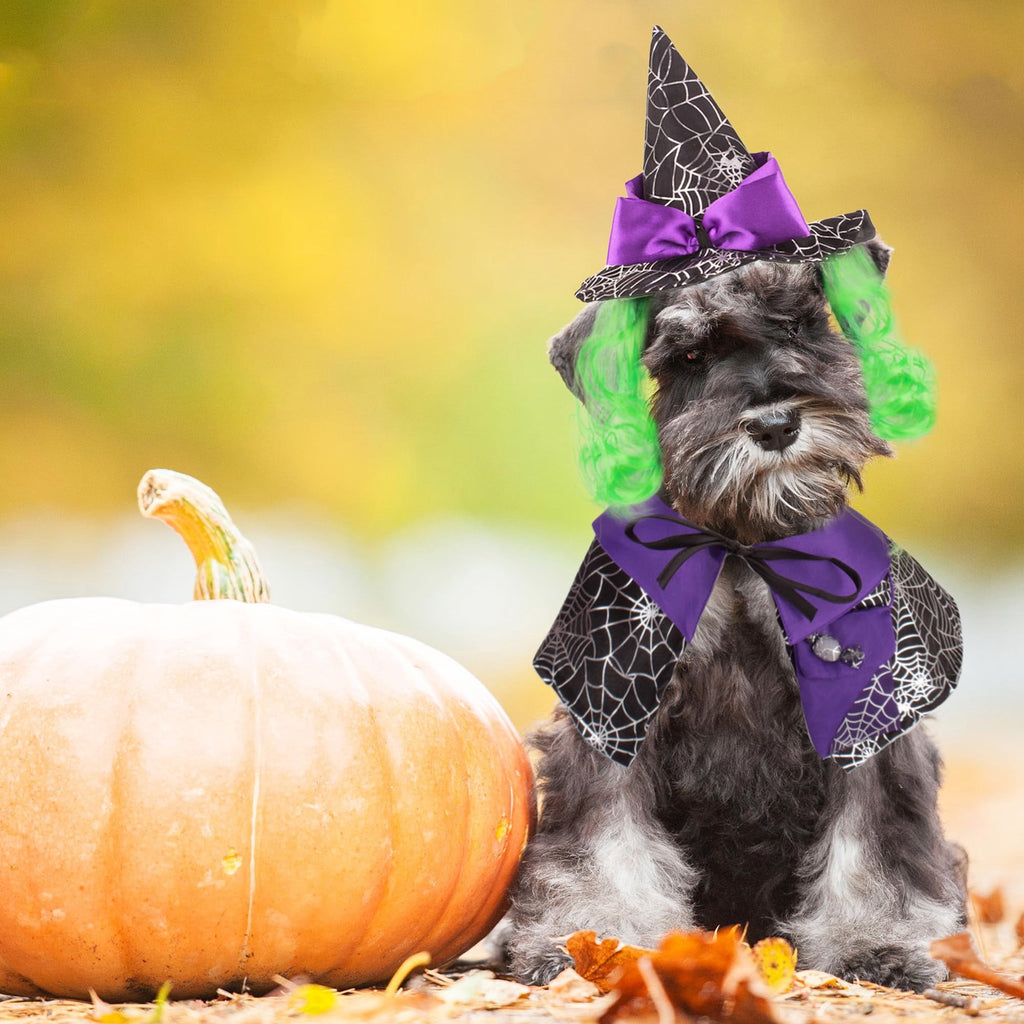 WILLED Halloween Pet Costumes, Cat Wizard Costume, Dog Witch Cloak & Hat, Purple Witch Cloak for Cats, Dogs, Kittens, Puppies, Rabbits, Perfect for Halloween, Parties, Cosplay, and Daily Wear