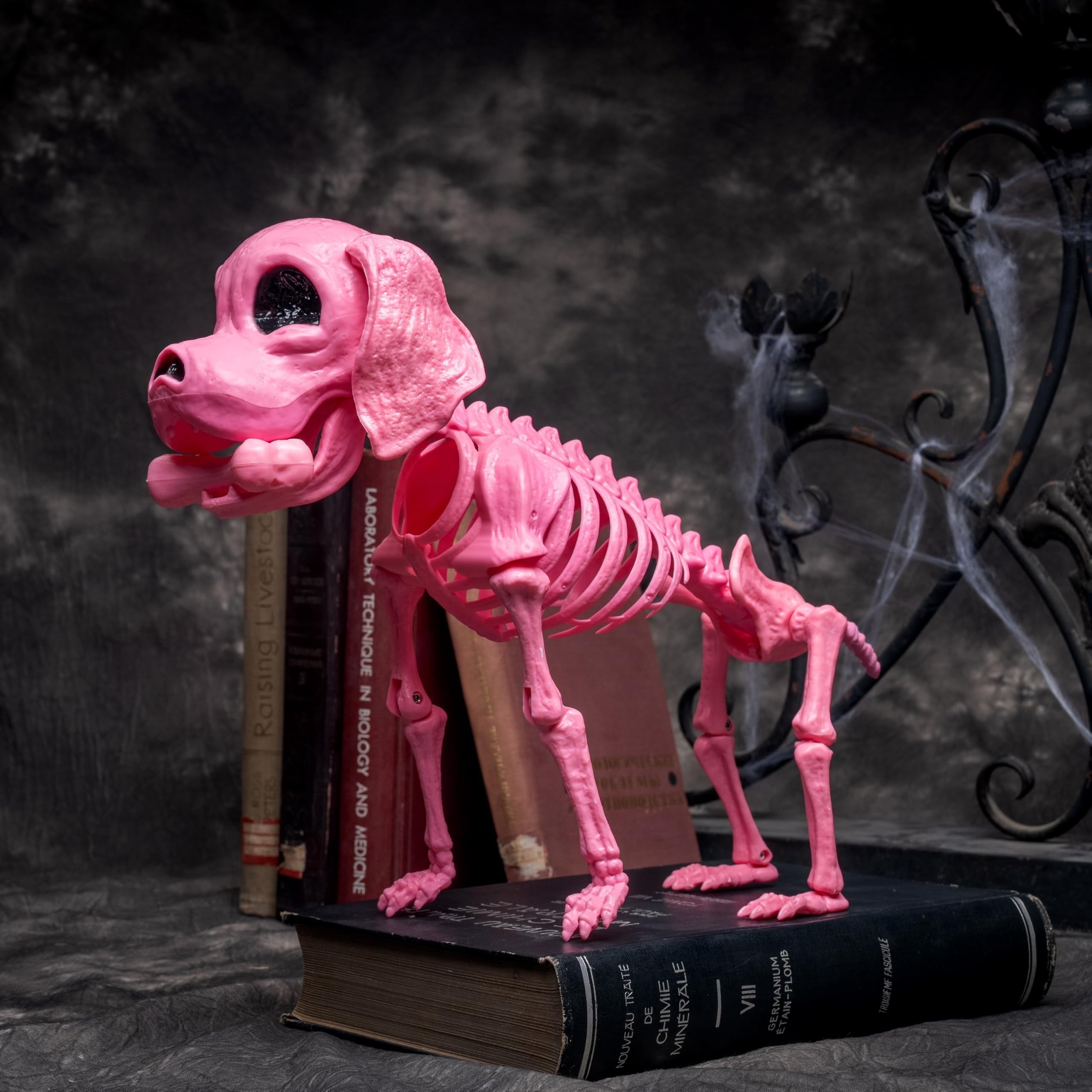 Joyfy 9.8 Inch Halloween Skeleton Dog Skeleton Halloween Decor,Pose-N-Stay Plastic Skeleton Bones with Posable Joints for Hallowmas Decoration Outdoor Haunted House Party