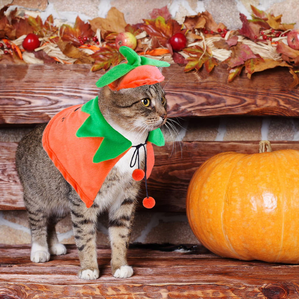 WILLED Halloween Pet Costumes, Cat Wizard Costume, Dog Witch Cloak & Hat, Purple Witch Cloak for Cats, Dogs, Kittens, Puppies, Rabbits, Perfect for Halloween, Parties, Cosplay, and Daily Wear