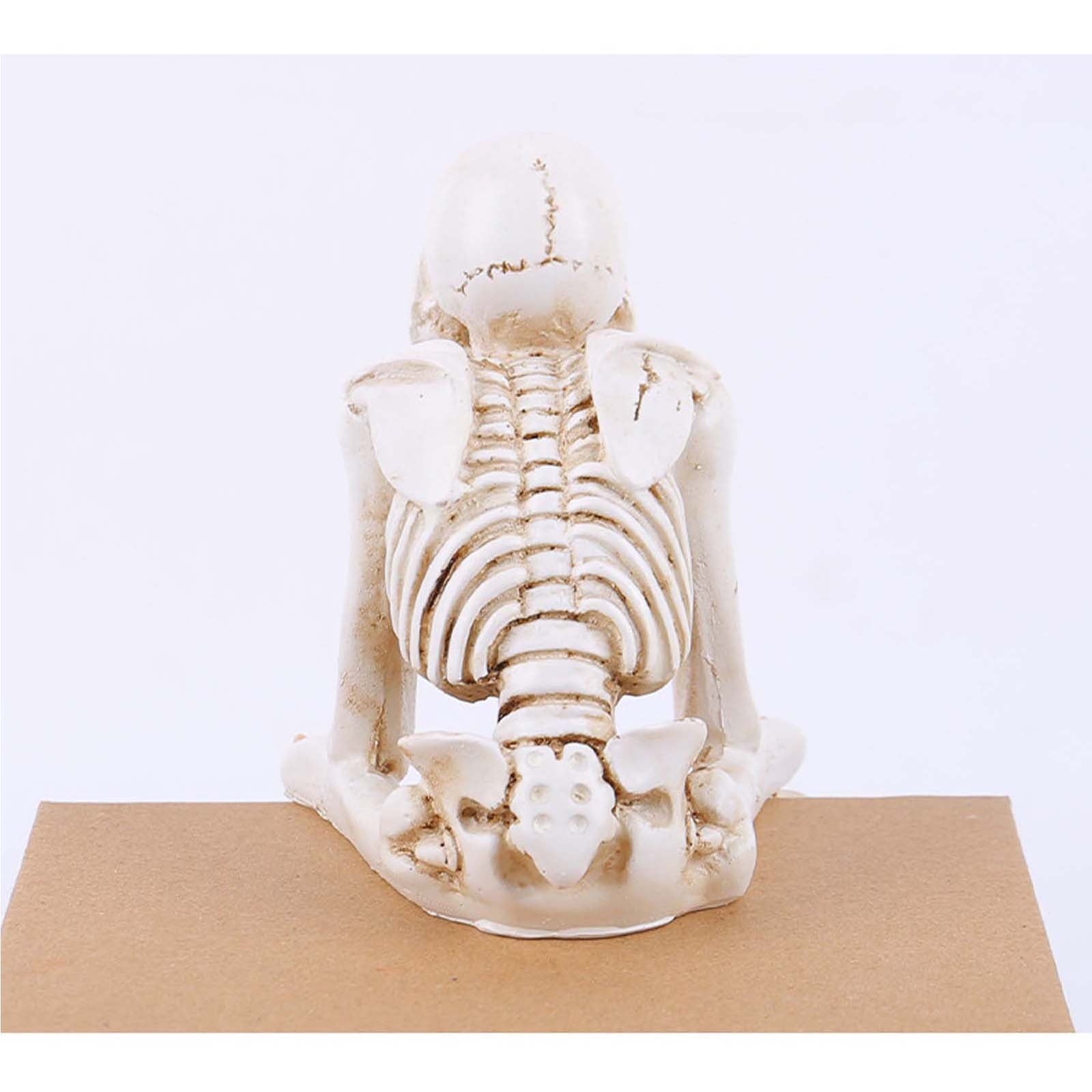 Halloween Decor Skeleton Statue Figurines Skull Decor See No Evil Hear No Evil Speak No Resin Skeleton Shelf Sitters Sitting Figurines for Home Kitchen Party Decor Table Ledge Edge Decorative (C)