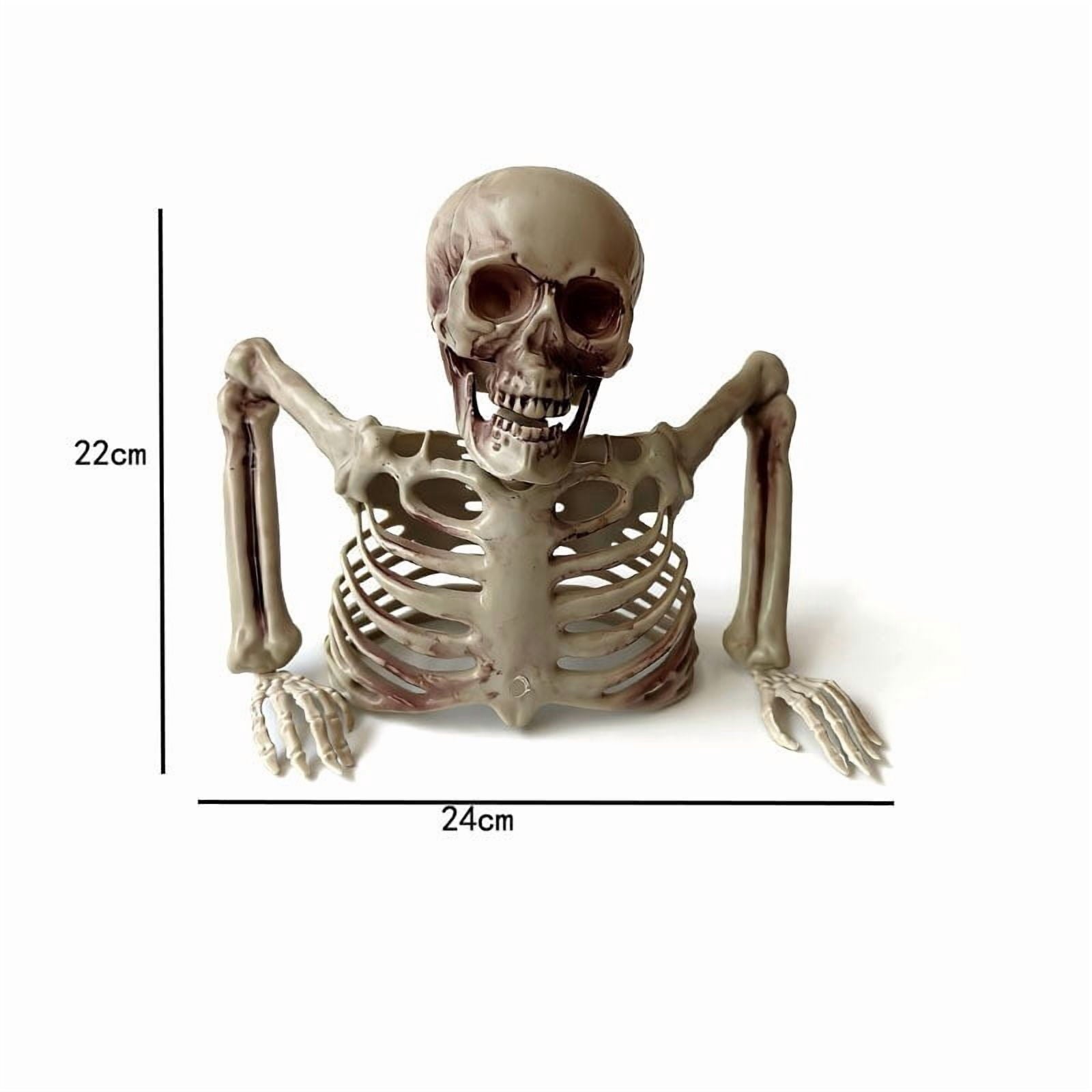 Halloween Skeleton Snake Prop Realistic Scary Serpent Decorative Ornament, Spooky Scene Setup Skeleton Decor Haunted House Party Prop, Home Shop Display Halloween Skeleton Holiday Ornament Gift