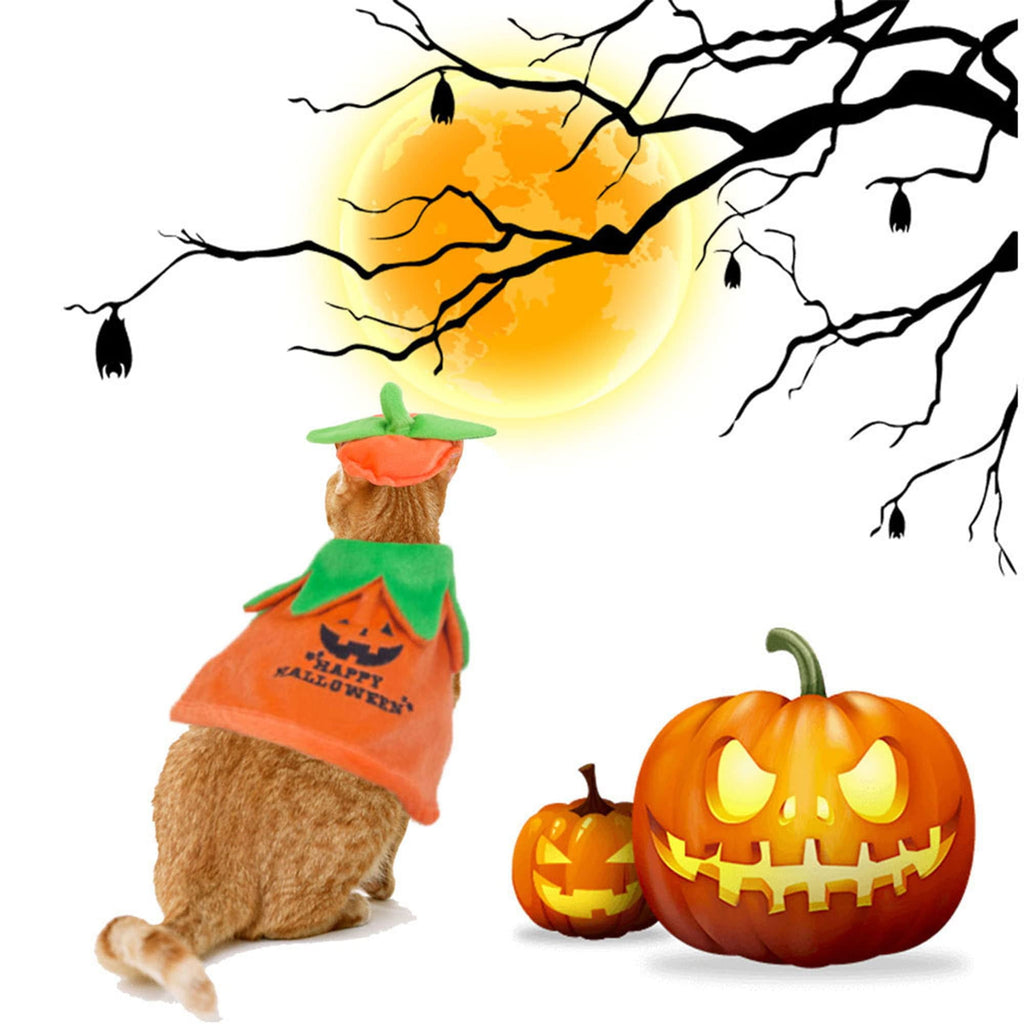 WILLED Halloween Pet Costumes, Cat Wizard Costume, Dog Witch Cloak & Hat, Purple Witch Cloak for Cats, Dogs, Kittens, Puppies, Rabbits, Perfect for Halloween, Parties, Cosplay, and Daily Wear